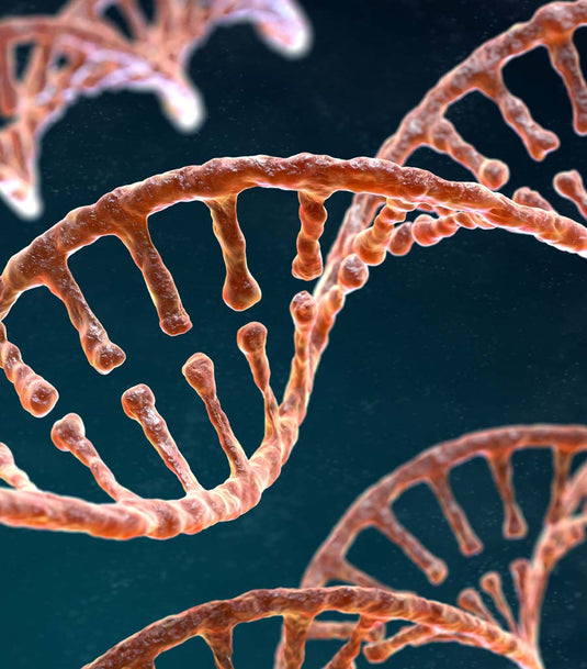 How to reduce our stress response at the deepest level