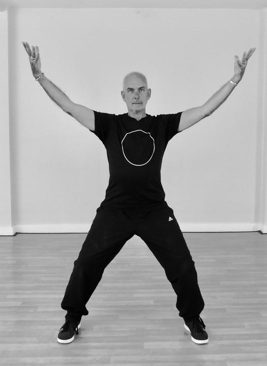 Qigong for the five zang / one-day workshop in Brighton / Digital Ticket
